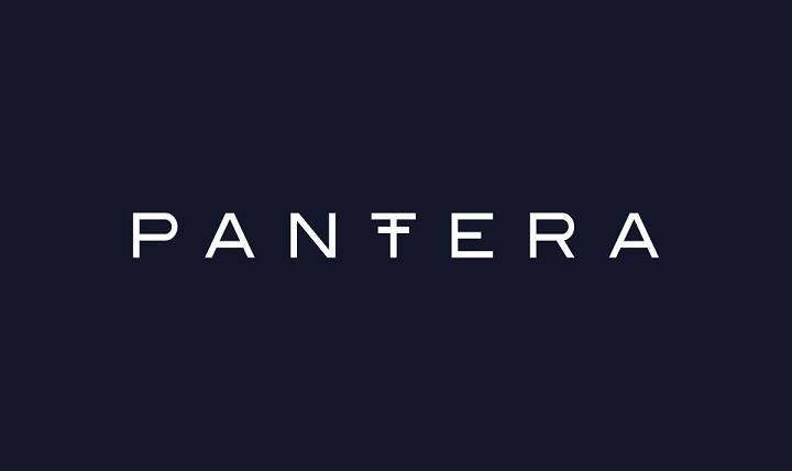 PANTERA WEB LOGOTYPE LIGHT ON DARK 1