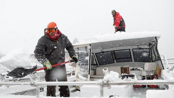 Early Snowfall in SLC The Hidden Pest Migration Happening Under Your Deck